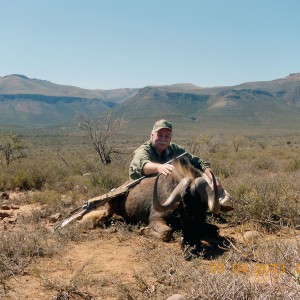 Black Wildebeest 3 for the books