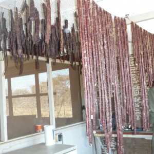 the management blue wildebeest "the biltong tree"