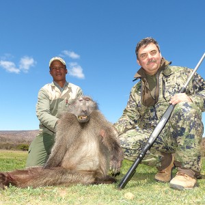 Baboon hunt with Wintershoek Johnny Vivier Safaris