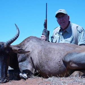 Tsessebe hunt with Wintershoek Johnny Vivier Safaris