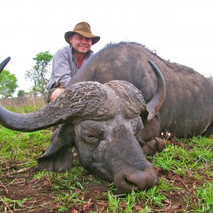 ~ Cape Buffalo - Lebombo Conservancy, Mozambique ~