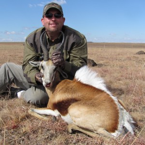 Springbok