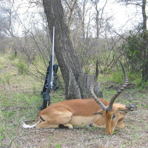 Impala