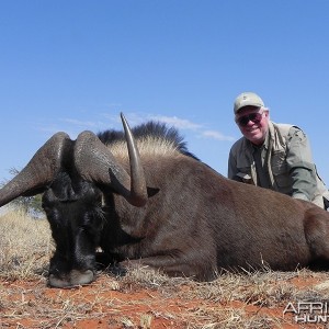 Black Wildebeest hunt with Wintershoek Johnny Vivier Safaris