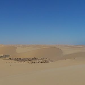 Dune Sandwich Harbor Namibia