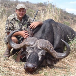 ~ Cape Buffalo - Lebombo Foothills, Mozambique ~