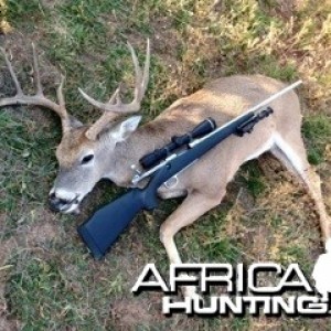 Ten Point West Texas Whitetail