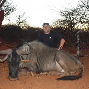 Blue Wildebeest hunted with Ozondjahe Hunting Safaris in Namibia