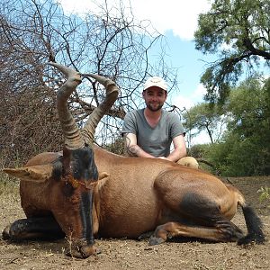 Red Hartebeest hunted with Ozondjahe Hunting Safaris in Namibia