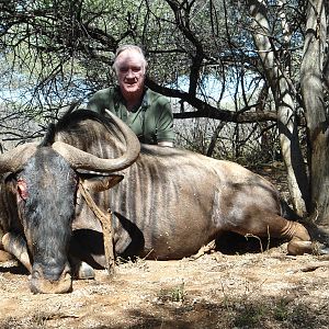 Blue Wildebeest hunted with Ozondjahe Hunting Safaris in Namibia