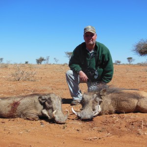 Warthog hunted with Ozondjahe Hunting Safaris in Namibia