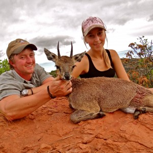 Klipspringer ~ Soutpansberg , RSA