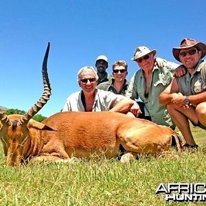 Impala ~ East Cape, RSA