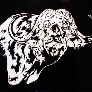 Buffalo Decal Stickers