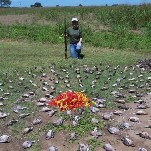 Dove Hunting in Cordoba, Argentina