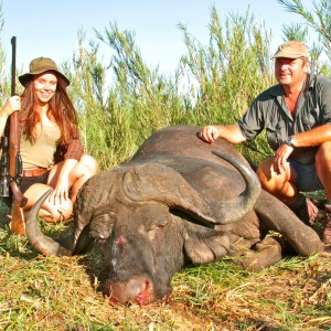 Free Range Buffalo ~ South Africa