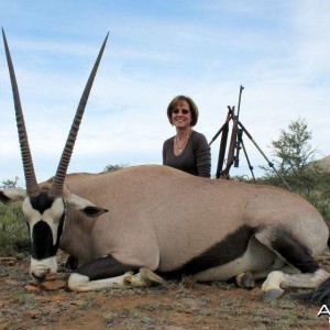 Gemsbok Hunted in the Eastern Cape, South Africa