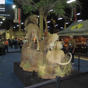 Taxidermy at Safari Club International Convention