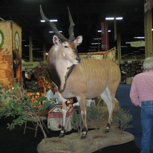 Taxidermy at Safari Club International Convention