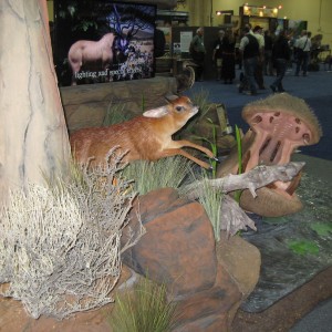 Taxidermy at Safari Club International Convention