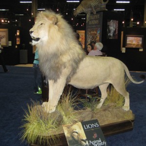 Taxidermy at Safari Club International Convention