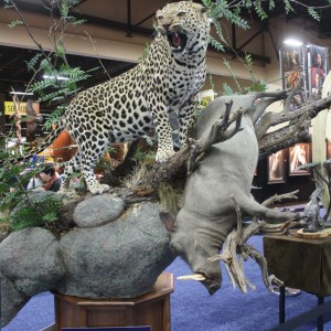 SCI Convention 2014 Taxidermy Mounts