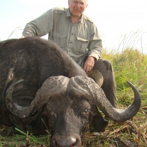 A classic buffalo bull of 42 inches.