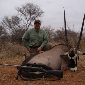 Last Minute Gemsbok Bull