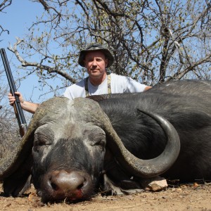 Greater Kruger Buffalo