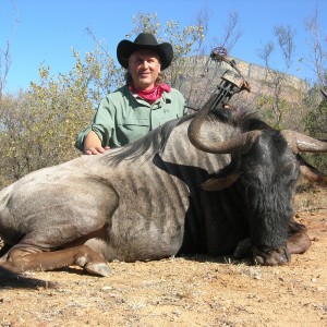 Wildebeest with bow