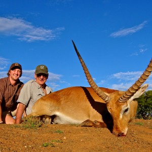 Red Lechwe ~ East Cape