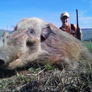 Umdende Hunting Safaris Bushpigs