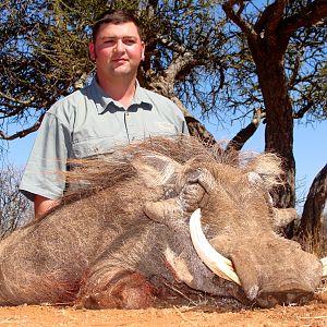 Warthog ~ Limpopo Valley, RSA