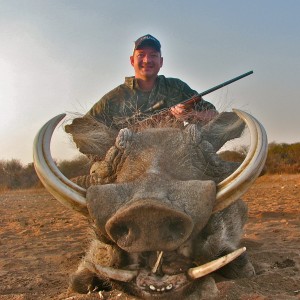 Warthog ~ Limpopo Valley, RSA