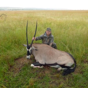 Gemsbok