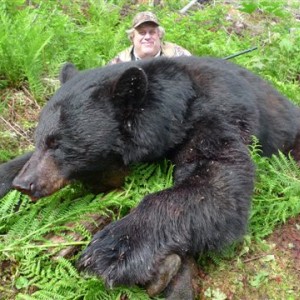 Black Bear Hunt in Canada