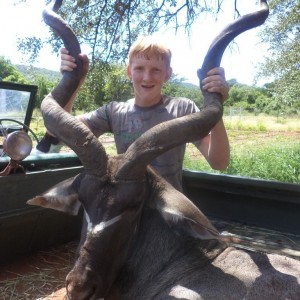 51" Kudu Bull shot at King's Kloof