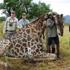 Giraffe with Kido Safaris