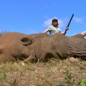 Elephant ~ Limpopo, South Africa