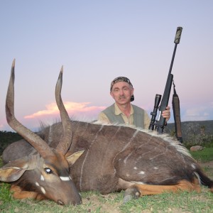 Nyala KMG Hunting Safaris