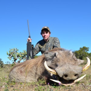 Warthog KMG Hunting Safaris