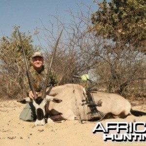 43 inch gemsbok cow