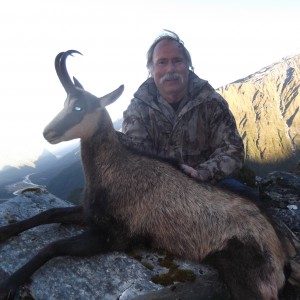 New Zealand Chamois