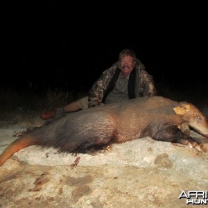 Umdende Hunting Safaris Aardvark