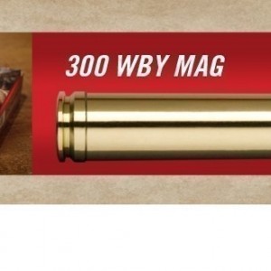 The .300 Weatherby Magnum