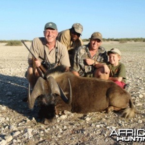 Black Wildebeest - Photo: Res Tuta A