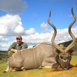 Free range Cape Kudu