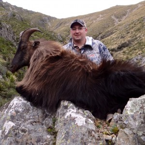 Brads Tahr- May 2014