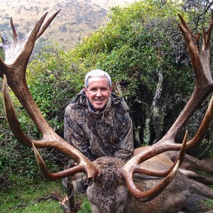 Red Stag NZ