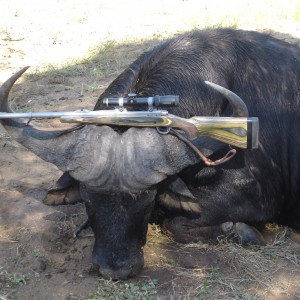 Ruger 416 Guide Gun with Cape Buffalo
